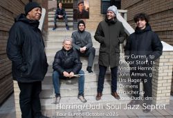 Herring-Dudli- New York Project